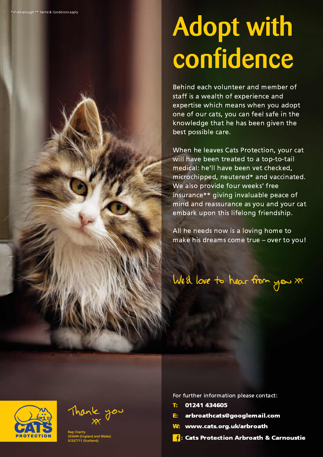 Welcome To Cats Protection If You Want To Neuter Your Cat Or Kitten And Are On Benefits We Can Help Help With The Cost